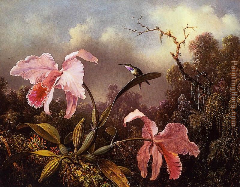 Orchids and Hummingbird  2
